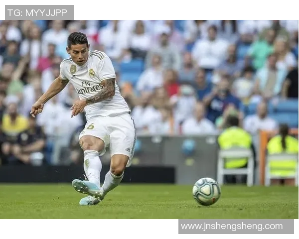 皇马19号足球明星的辉煌历程与未来发展展望