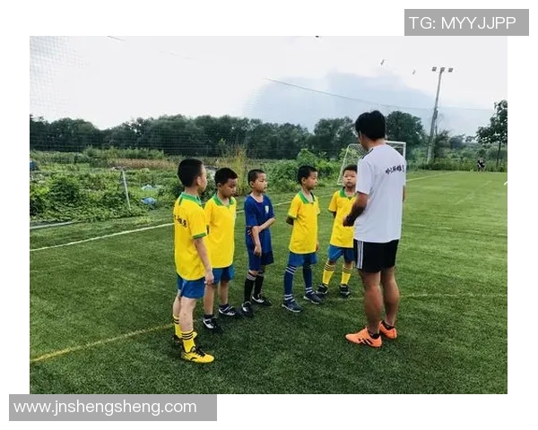 哈尔斯足球明星阵容揭秘他们的成就与影响力分析